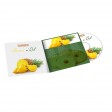 Digipack CD 2 volets